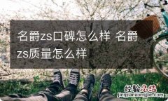 名爵zs口碑怎么样 名爵zs质量怎么样