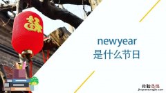 newyear是什么意思