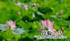 掰一掰大暑节气的民俗和养生 掰一掰大暑节气的民俗和养生有什么