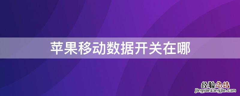 苹果手机手机移动数据开启的标志 iPhone移动数据开关在哪