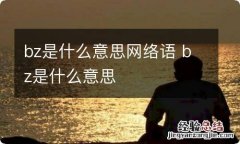 bz是什么意思网络语 bz是什么意思