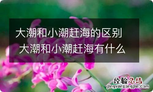 大潮和小潮赶海的区别 大潮和小潮赶海有什么不同
