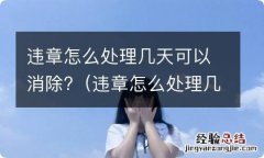 违章怎么处理几天可以消除啊 违章怎么处理几天可以消除?