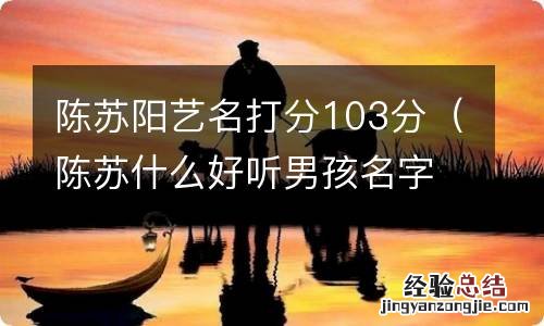 陈苏什么好听男孩名字 陈苏阳艺名打分103分