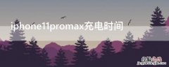 iPhone11promax充电时间