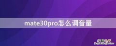 mate30pro怎么调音量