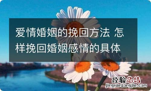 爱情婚姻的挽回方法 怎样挽回婚姻感情的具体办法