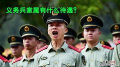 义务兵是什么意思