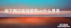 按下侧边按钮使用siri什么意思