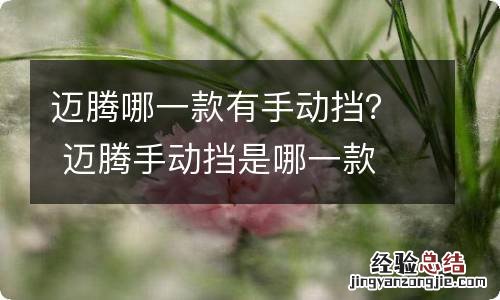 迈腾哪一款有手动挡? 迈腾手动挡是哪一款