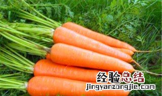 减肥为啥不能吃胡萝卜 减肥能不能吃胡萝卜