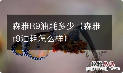 森雅r9油耗怎么样 森雅R9油耗多少