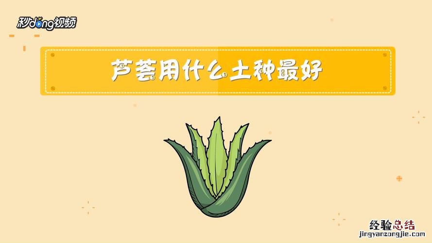 芦荟怎么种