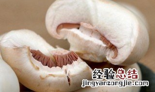 新鲜口蘑怎么保存最好 新鲜口蘑怎么保存