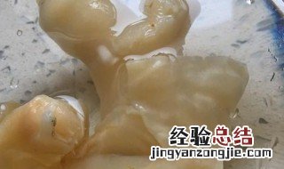 泡发好的鱼胶如何保存 泡发好的鱼胶怎么保存