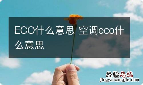 ECO什么意思 空调eco什么意思