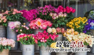 鲜花店怎么保存鲜花 鲜花店怎么保存鲜花不坏