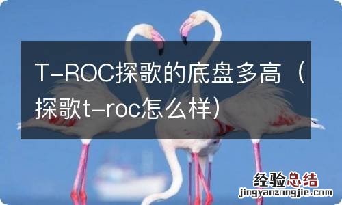 探歌t-roc怎么样 T-ROC探歌的底盘多高