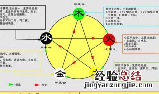 为什么五行是金木水火土 金木水火土为什么是五行