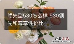 领先型530怎么样 530领先和尊享性价比