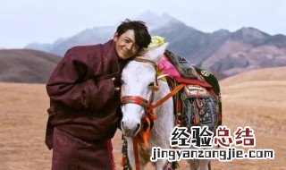 丁真争夺战是什么梗 丁真争夺战是什么意思