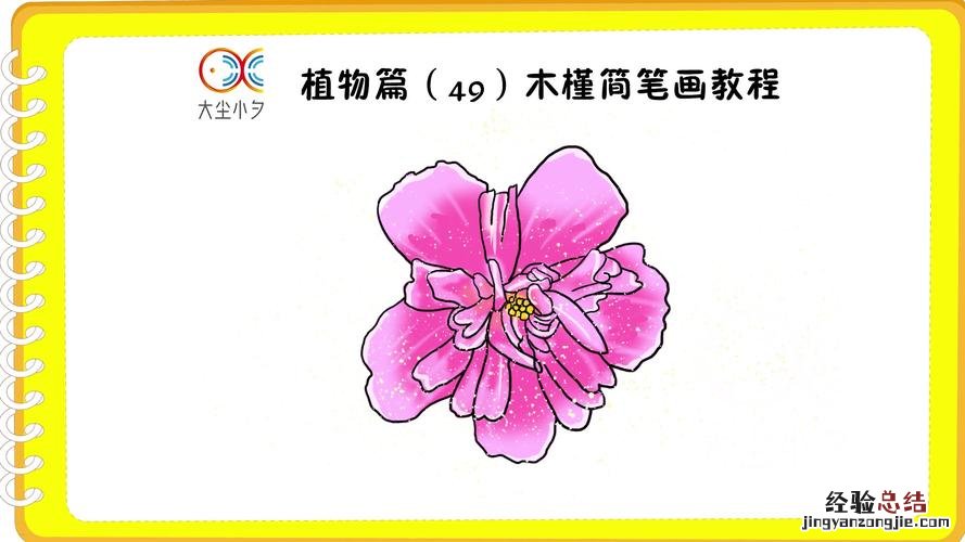 木槿怎么养