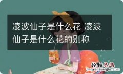 凌波仙子是什么花 凌波仙子是什么花的别称