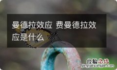 曼德拉效应 费曼德拉效应是什么