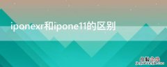 iponexr和ipone11的区别