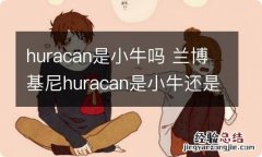 huracan是小牛吗 兰博基尼huracan是小牛还是大牛