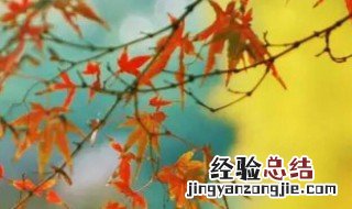 秋分时间 时间是9月22日