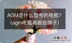 agm电瓶有哪些牌子 AGM是什么型号的电瓶？