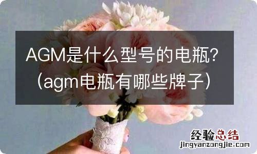 agm电瓶有哪些牌子 AGM是什么型号的电瓶？