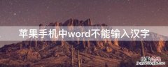 iPhone手机中word不能输入汉字