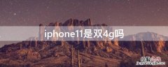 iPhone11是双4g吗