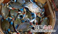 河蟹吃什么东西在家养 河蟹吃什么食物能养活