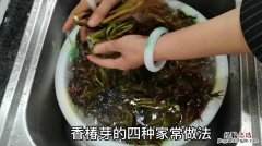 香椿芽怎么吃