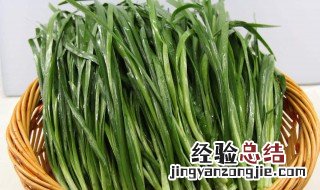 冷棚蒜苗种植技术 蒜苗冷棚种植新方法