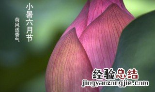 小暑节气的传说 小暑节气的传说有什么