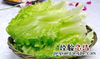 西生菜怎么挑选 西生菜的品种