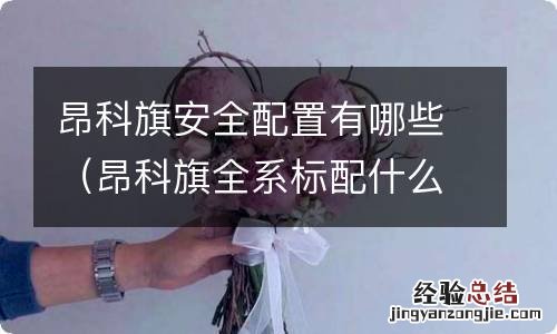 昂科旗全系标配什么 昂科旗安全配置有哪些