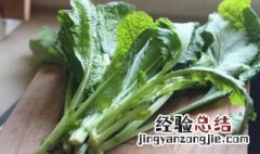 南方适合种哪种芥菜 南方芥菜和北方芥菜的区别是什么