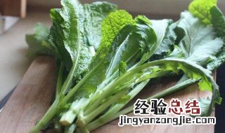 南方适合种哪种芥菜 南方芥菜和北方芥菜的区别是什么