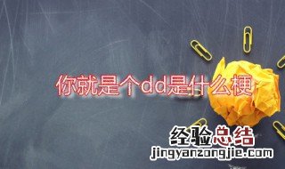 你就是个dd是什么梗