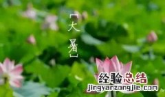 大暑节气四种养生菜可口又健康 关于大暑节气四种养生的菜