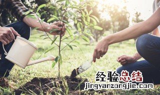 植树节为什么要植树20字 植树节为什么要植树