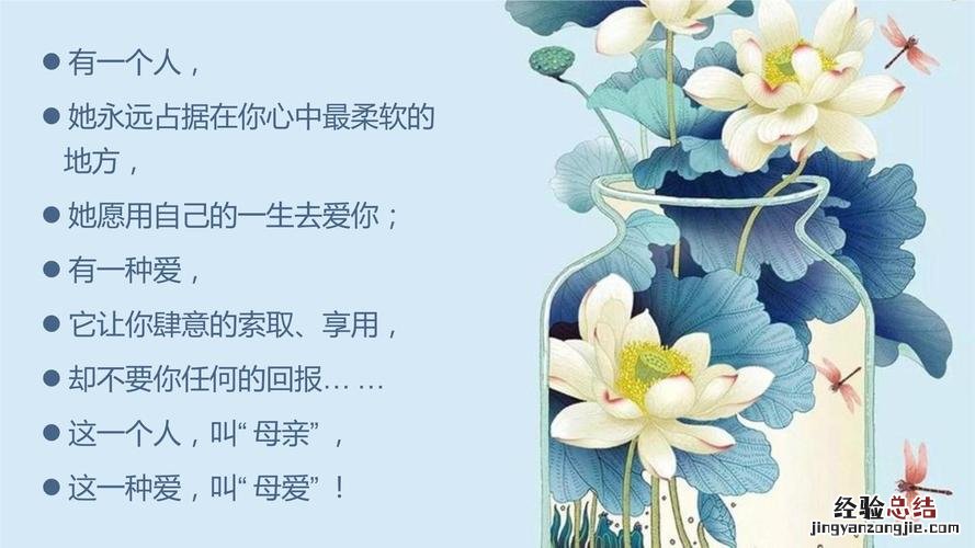 白鹭的科普知识