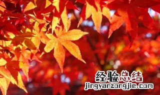 康熙字典秋字五行属什么 秋字五行属什么