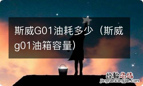 斯威g01油箱容量 斯威G01油耗多少