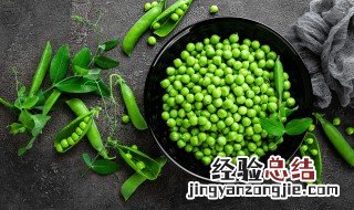 青豌豆发芽了还能吃吗视频 青豌豆发芽了还能吃吗